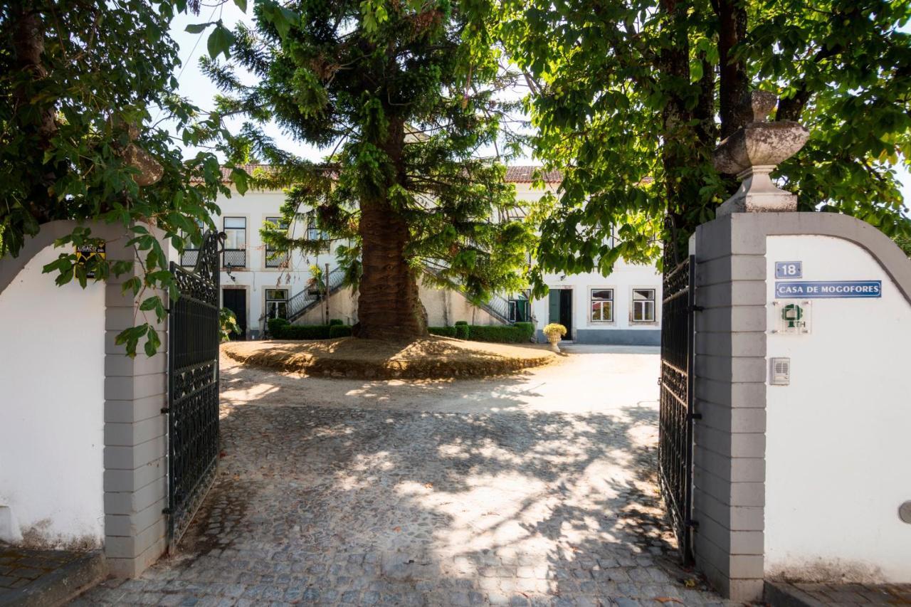 Casa De Mogofores Anadia Buitenkant foto